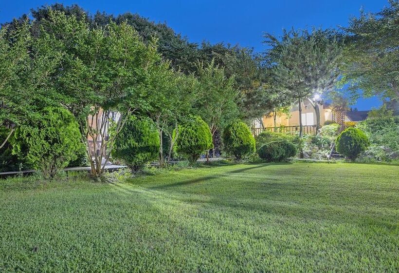 Anmyeondo Tamarind Pension