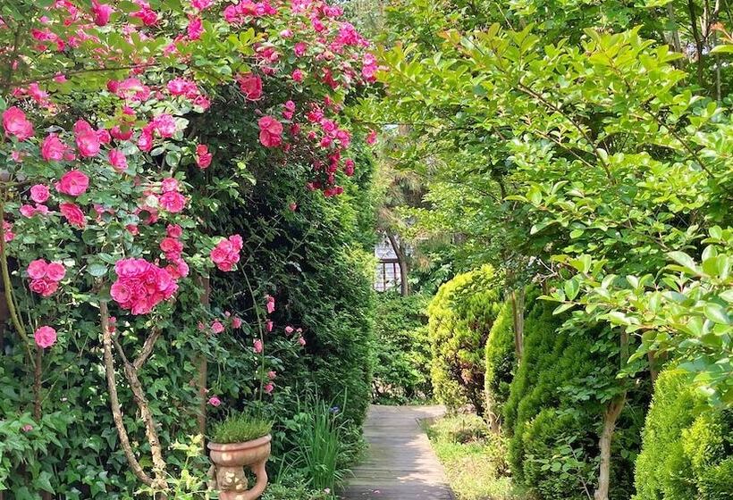 Anmyeondo Tamarind Pension