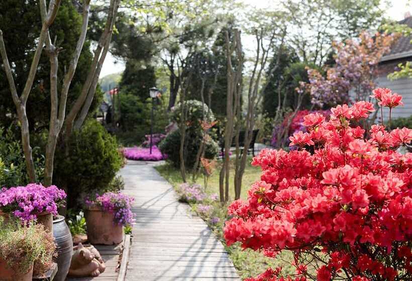 Anmyeondo Tamarind Pension