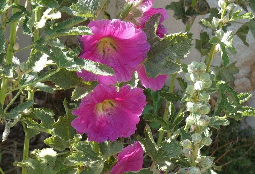 فندق صغير Bungalows Au Chateau De La Croix