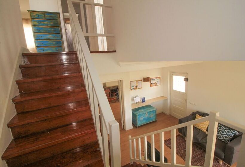 Mr Ziggy S Surfhouse   Hostel