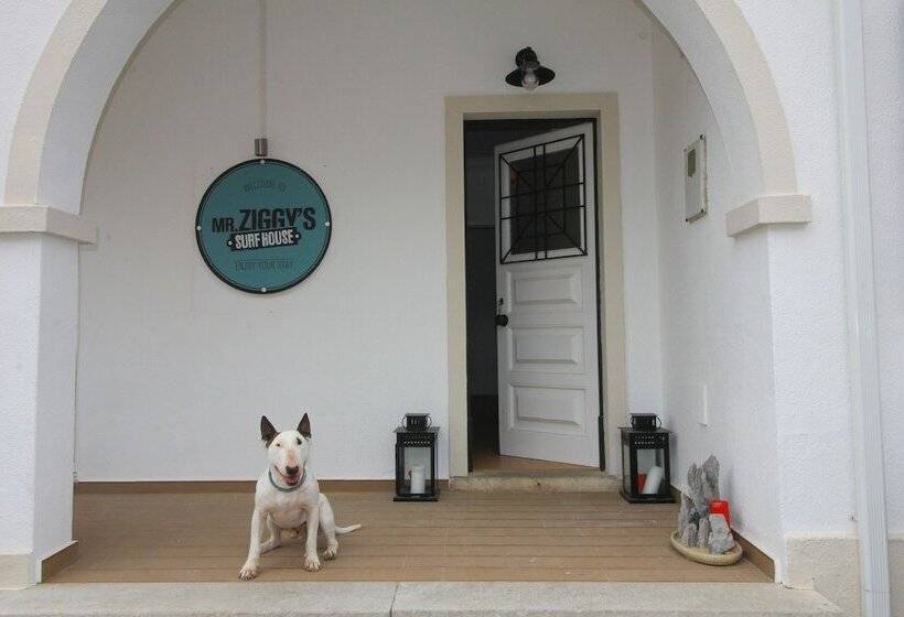 Mr Ziggy S Surfhouse   Hostel