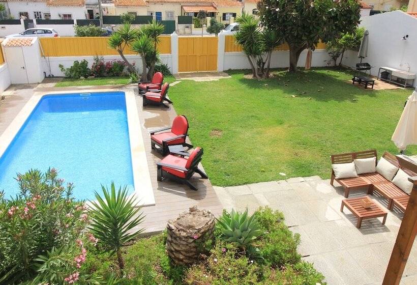 Mr Ziggy S Surfhouse   Hostel