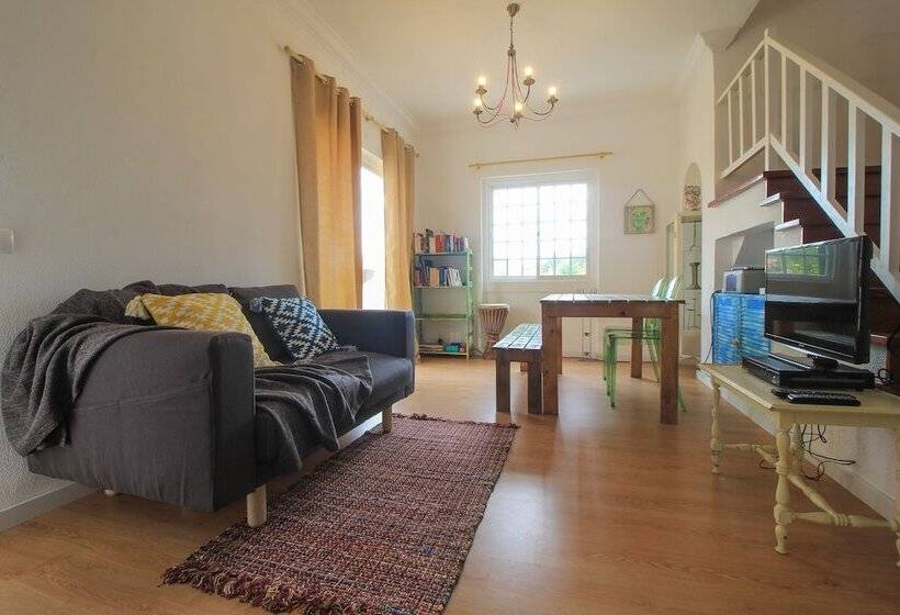 Mr Ziggy S Surfhouse   Hostel