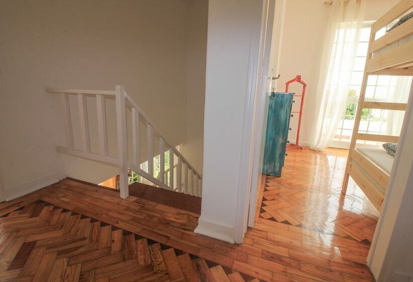 Mr Ziggy S Surfhouse   Hostel