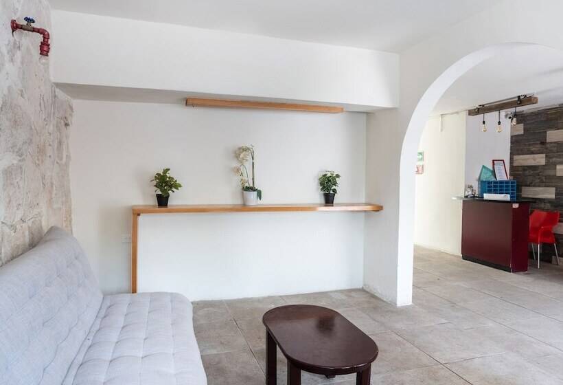 فندق صغير Rimon