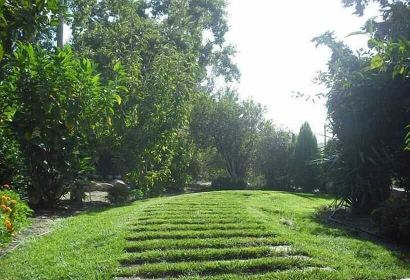 B&b Casa Museo Elio Romano