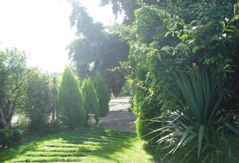 B&b Casa Museo Elio Romano