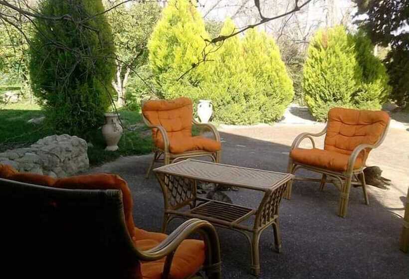 B&b Casa Museo Elio Romano