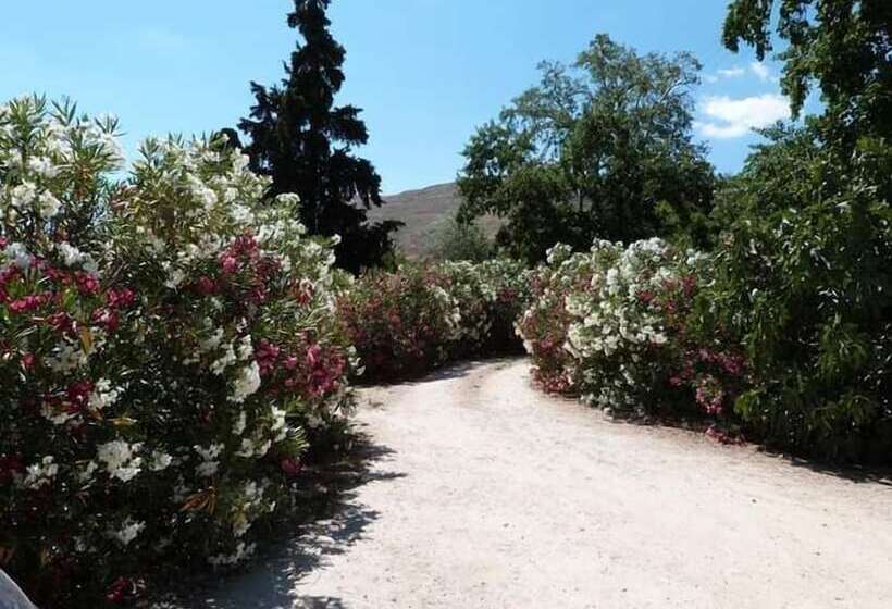 B&b Casa Museo Elio Romano