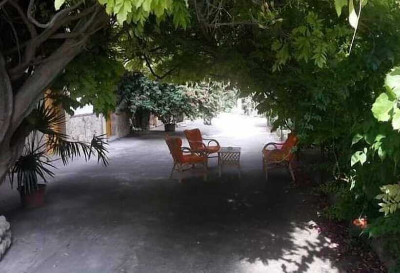 B&b Casa Museo Elio Romano