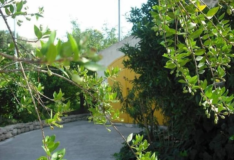 B&b Casa Museo Elio Romano