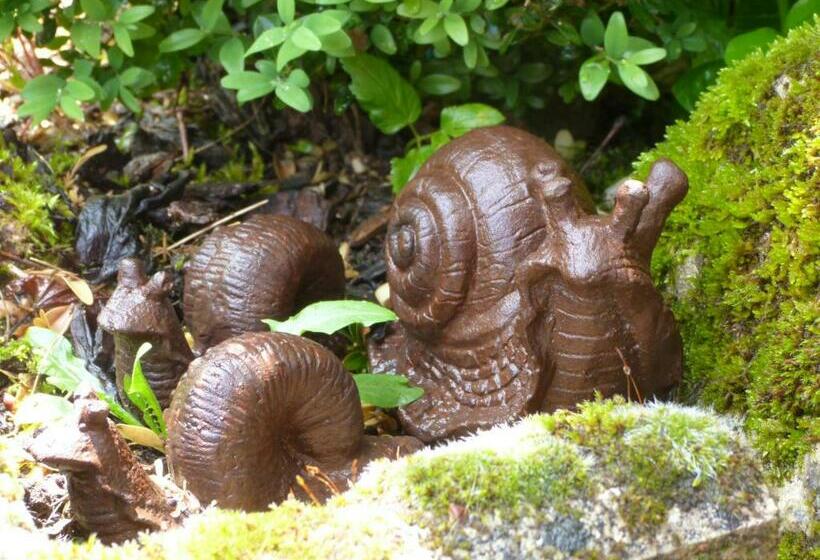 B&b Les Hauts D Ornans