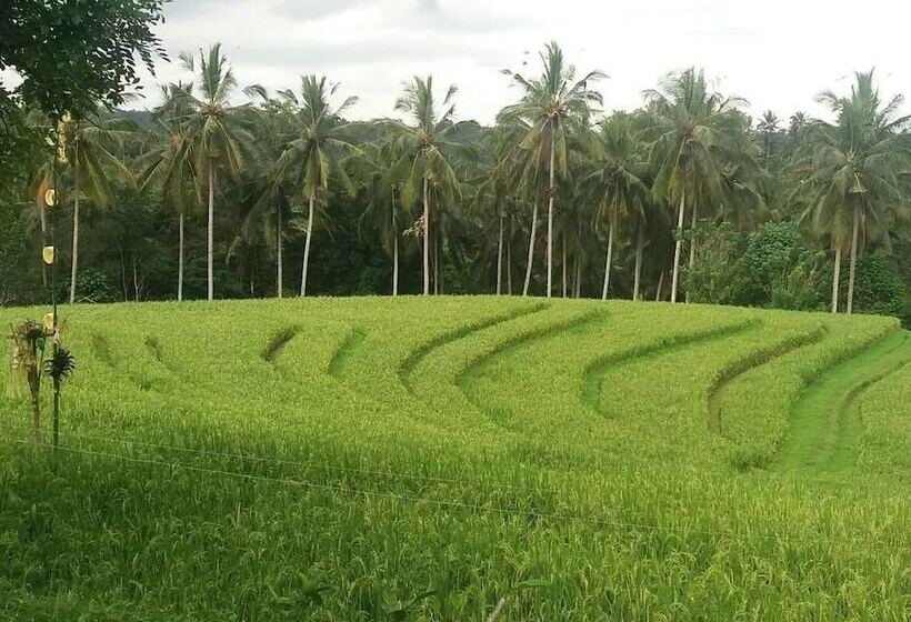 Bed and Breakfast Bali Green Retreat