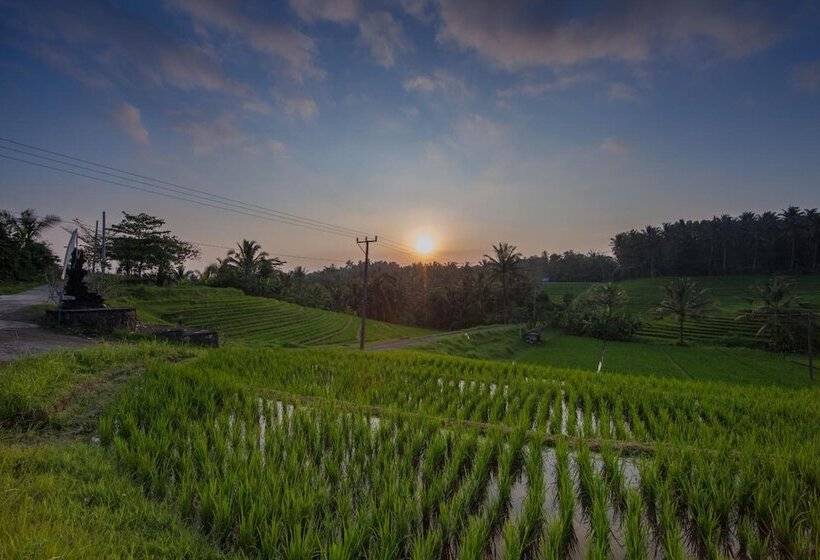 צימר Bali Green Retreat