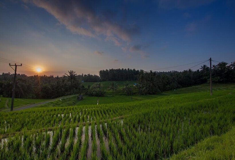 צימר Bali Green Retreat