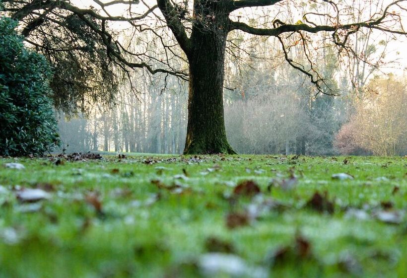 צימר Chateau De La Chasse Beauvais