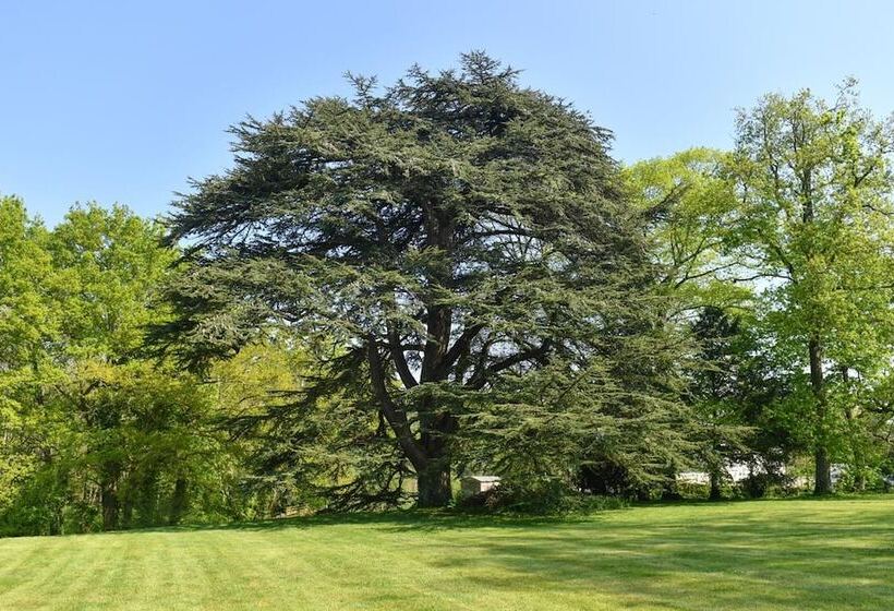 مبيت وإفطار Château De La Grand'cour
