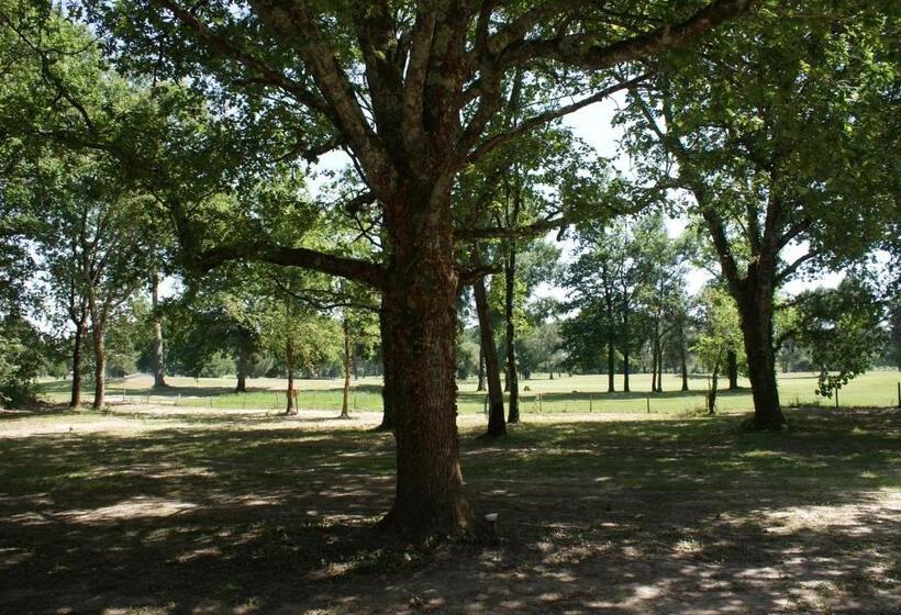 مبيت وإفطار Domaine Du Bois Seguin