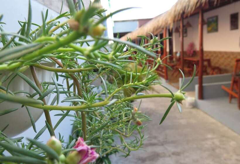 مبيت وإفطار Homestay Jsku Karimunjawa