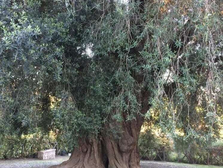 مبيت وإفطار Il Gelsomino