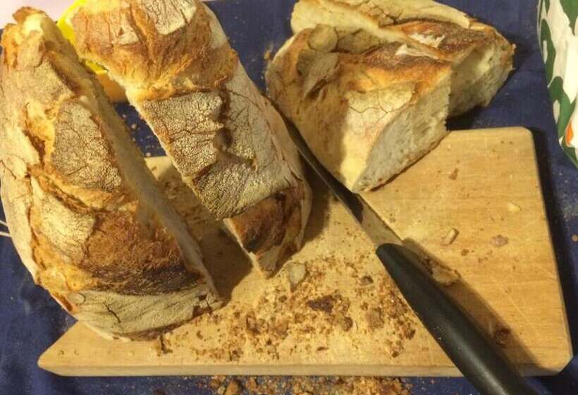 مبيت وإفطار Il Gelsomino