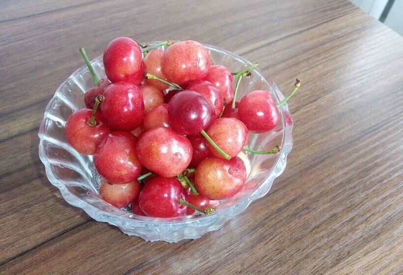 צימר Jm Veggie Friends Home