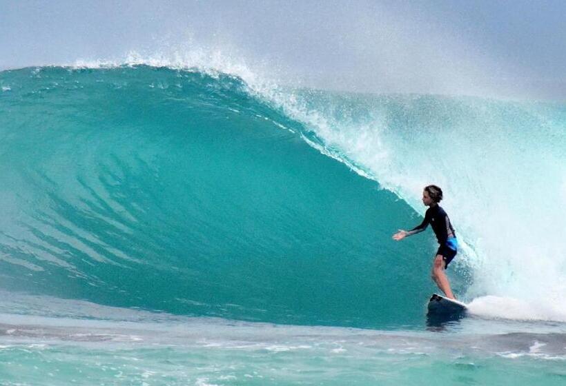 住宿加早餐 Krui Surfing