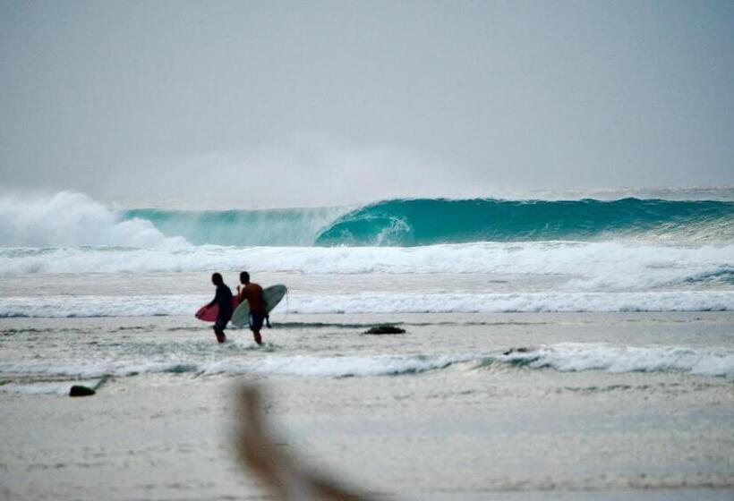 住宿加早餐 Krui Surfing