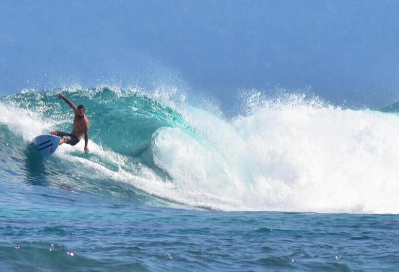 住宿加早餐 Krui Surfing