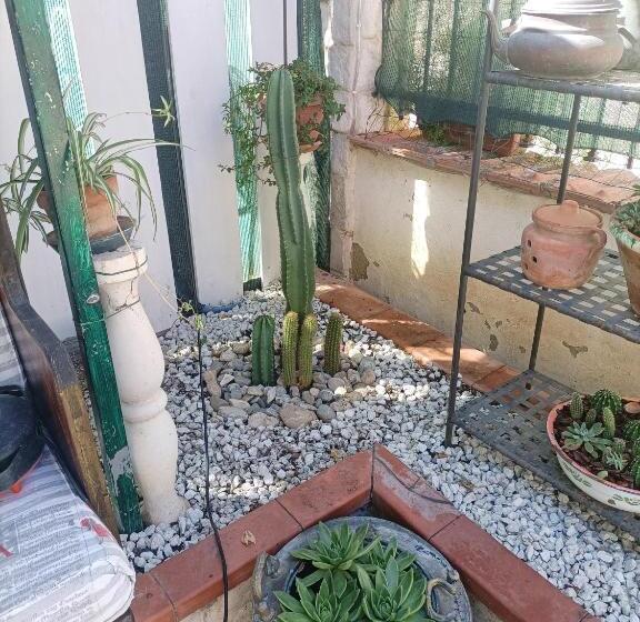 مبيت وإفطار La Casa In Pietra