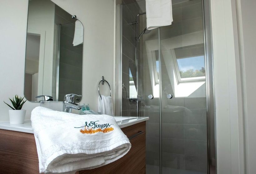 مبيت وإفطار Le Feneau Maison D Hôtes