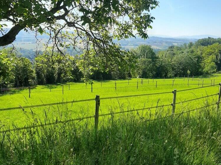 مبيت وإفطار Le Feneau Maison D Hôtes