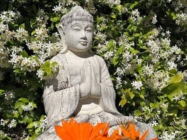 Bed and Breakfast Le Mas Aux Cedres   Teritoria