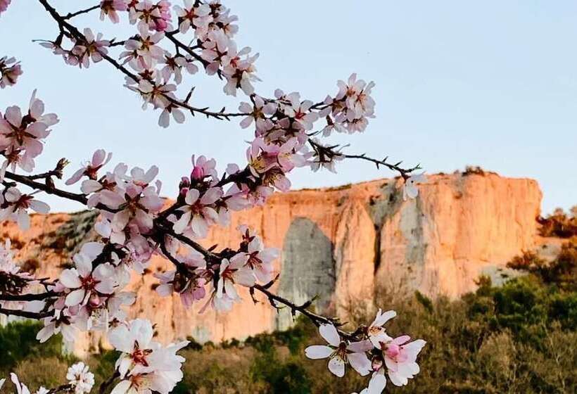 Bed and Breakfast Le Mas Aux Cedres   Teritoria