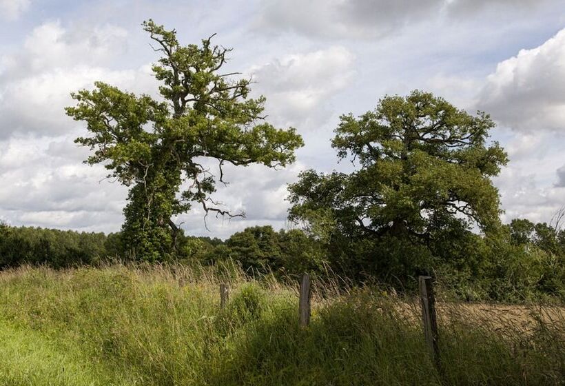 住宿加早餐  Les Nuits Safranées