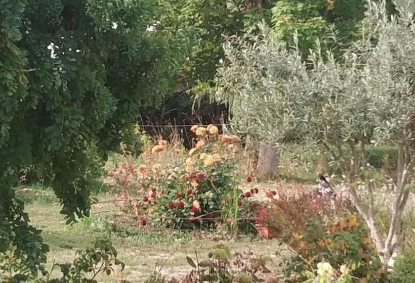 住宿加早餐  Les Nuits Safranées