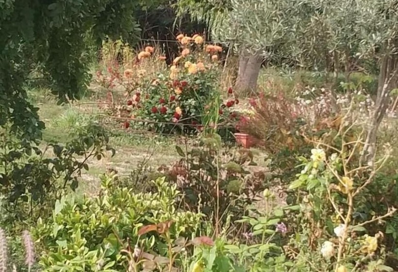 住宿加早餐  Les Nuits Safranées