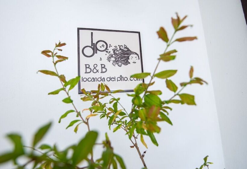 민박 Locanda Del Pino