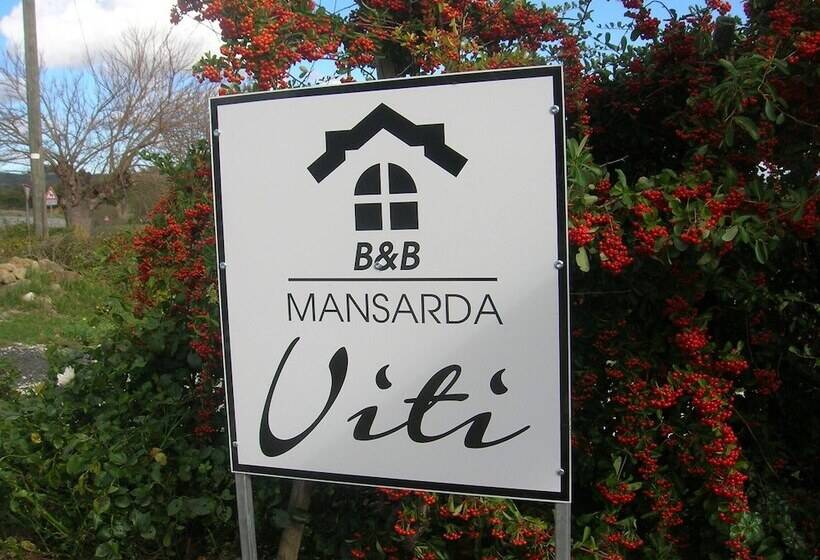 住宿加早餐 Mansarda Viti