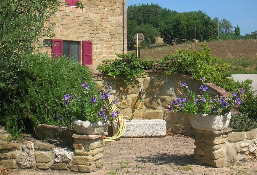 住宿加早餐 Mansarda Viti