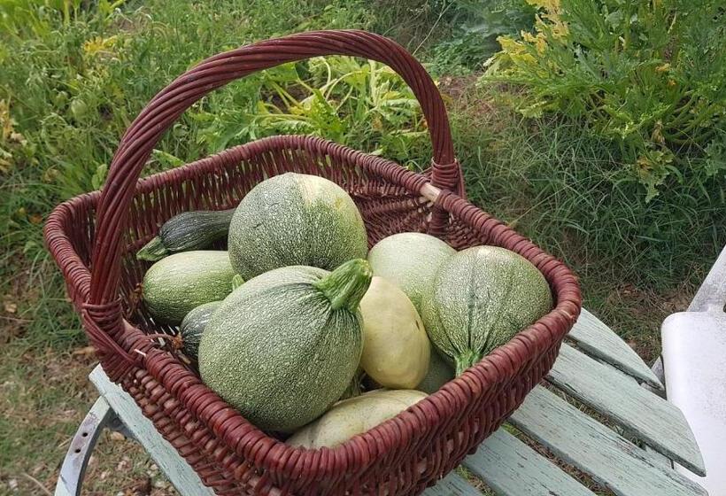 مبيت وإفطار Mas Des Ballats