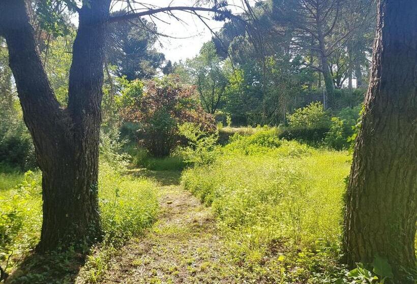 مبيت وإفطار Mas Des Ballats