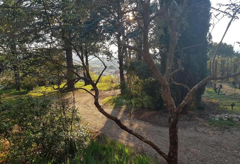 مبيت وإفطار Mas Des Ballats