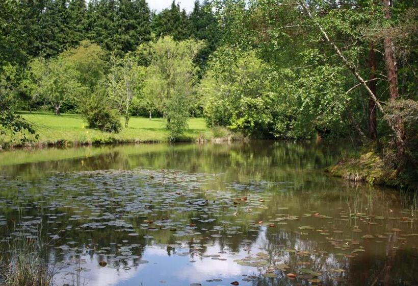 ベッドアンドブレックファースト Spruce Lake