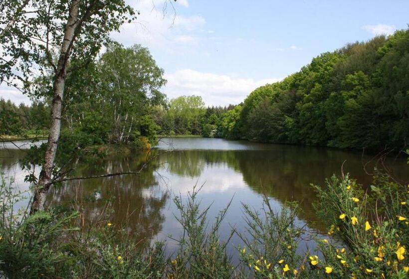 ベッドアンドブレックファースト Spruce Lake