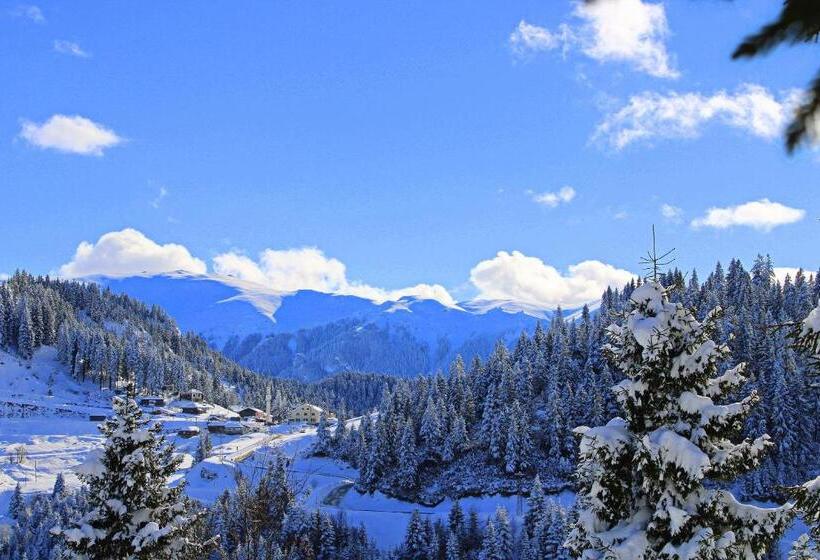 Foleya Mountain Resort Hotel & Villas