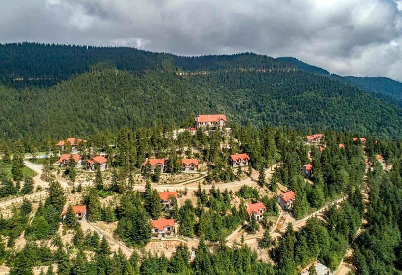 Foleya Mountain Resort Hotel & Villas