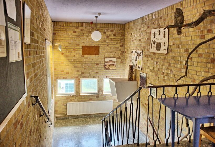 فندق صغير B&b Gillhov & Camping