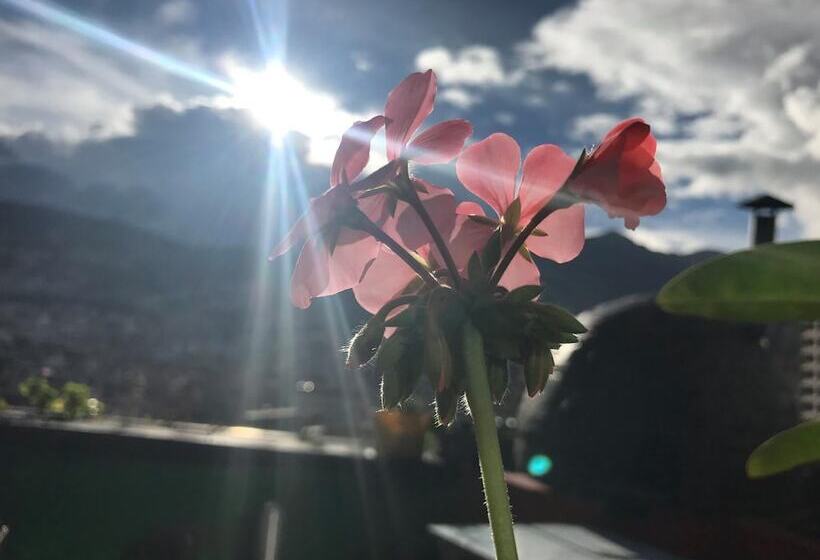 Hostal La Guayunga   Hostel